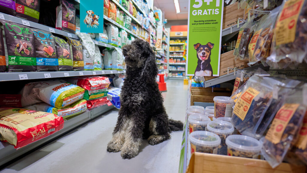 pets place Schalkwijk