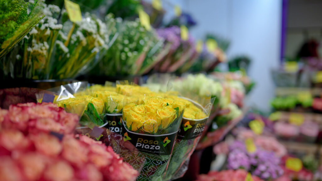 Grietjes Bloemen en Planten