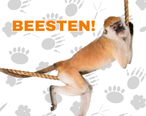 beesten!