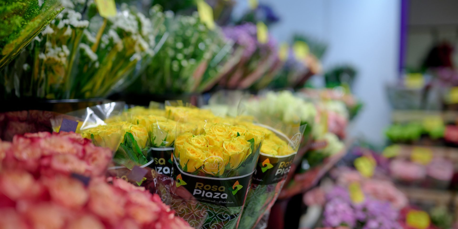 Grietjes Bloemen en Planten